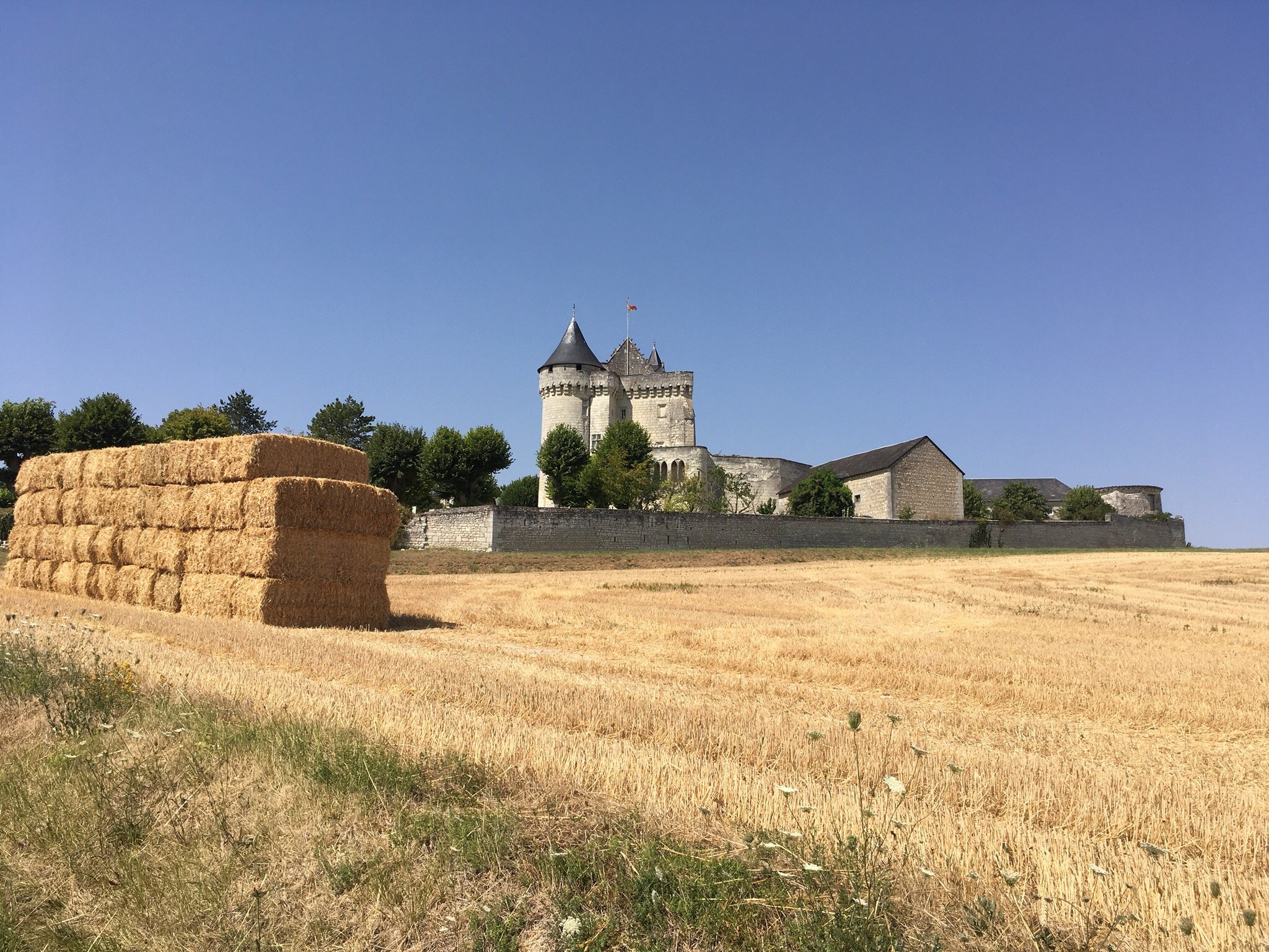 Chateau de la Motte-官方