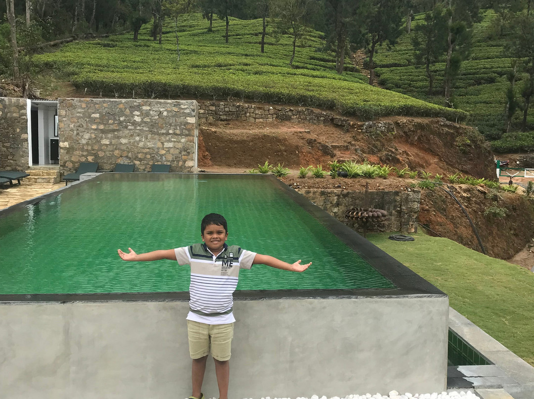 Tea and Experience Factory - Thema Collection主图