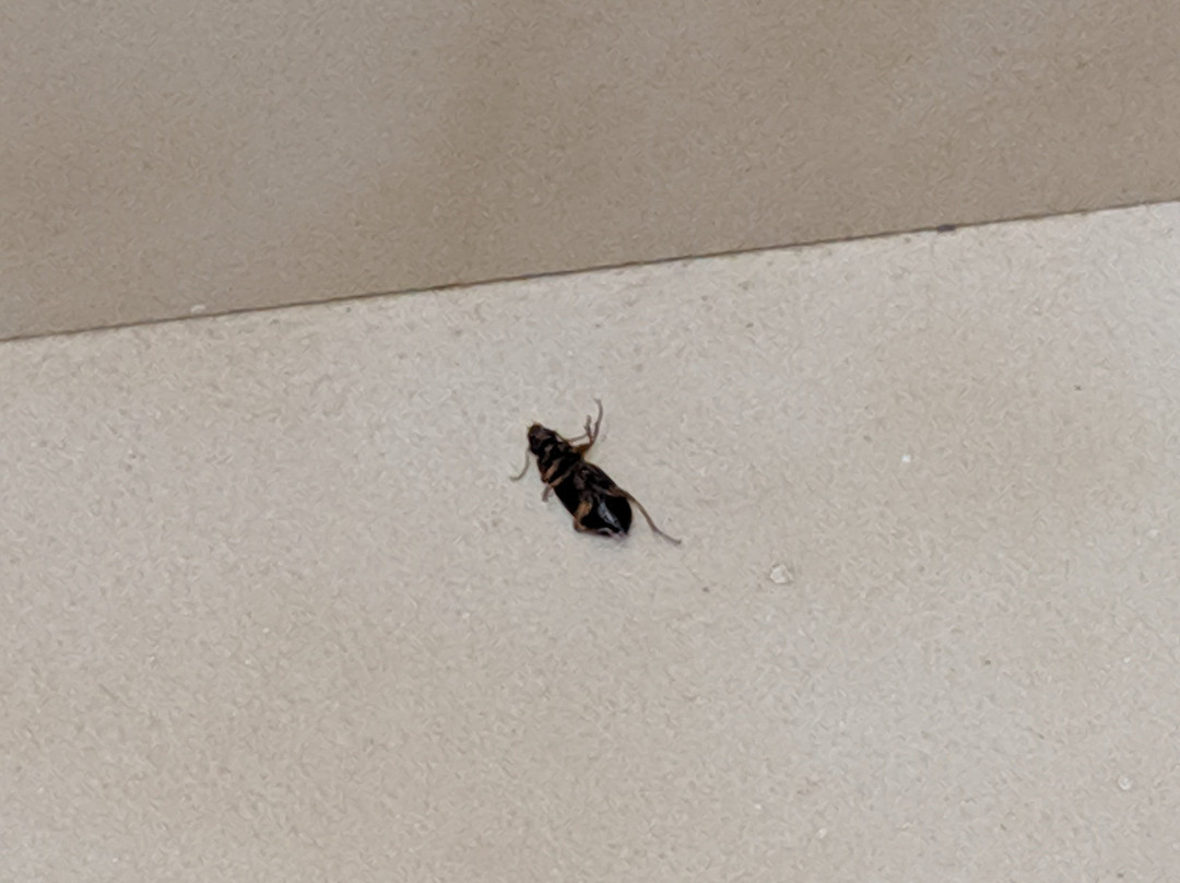 Quality Inn & Suites主图