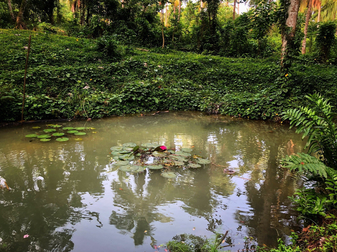 El Valle Lodge主图