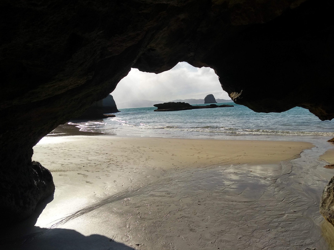 Aotea Roadies - Day Tours-奥克兰中心地区必去景点