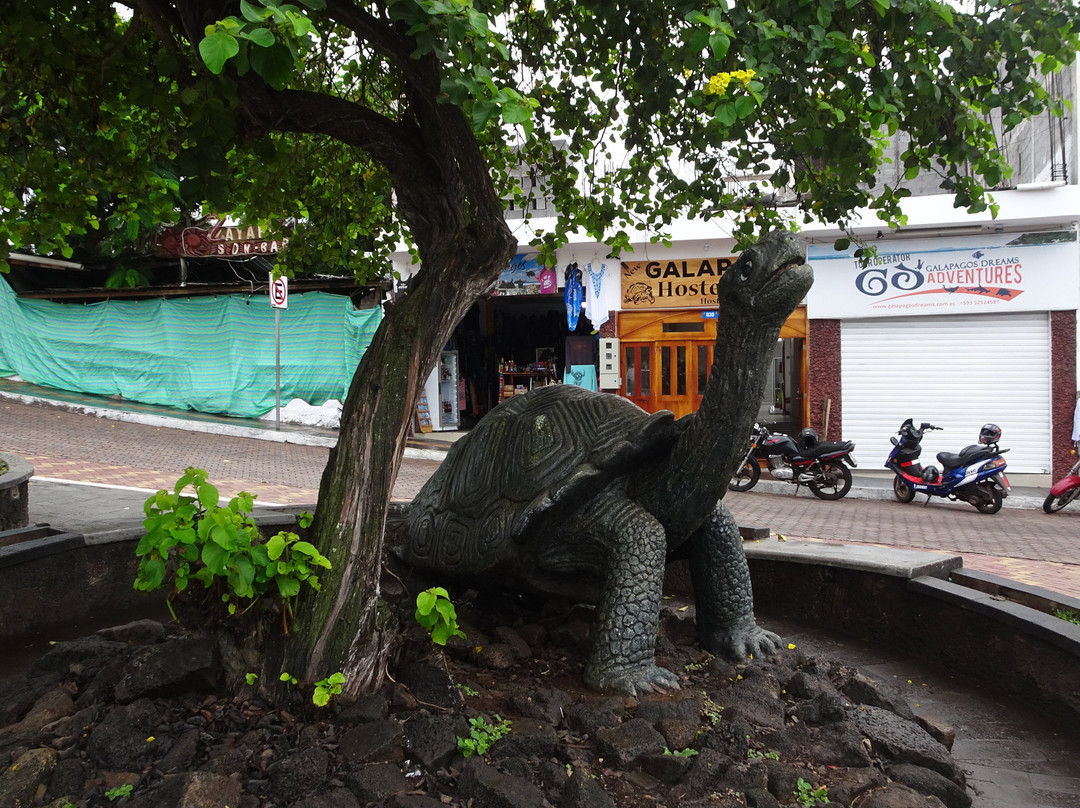 Monumento de la Tortuga景点图片