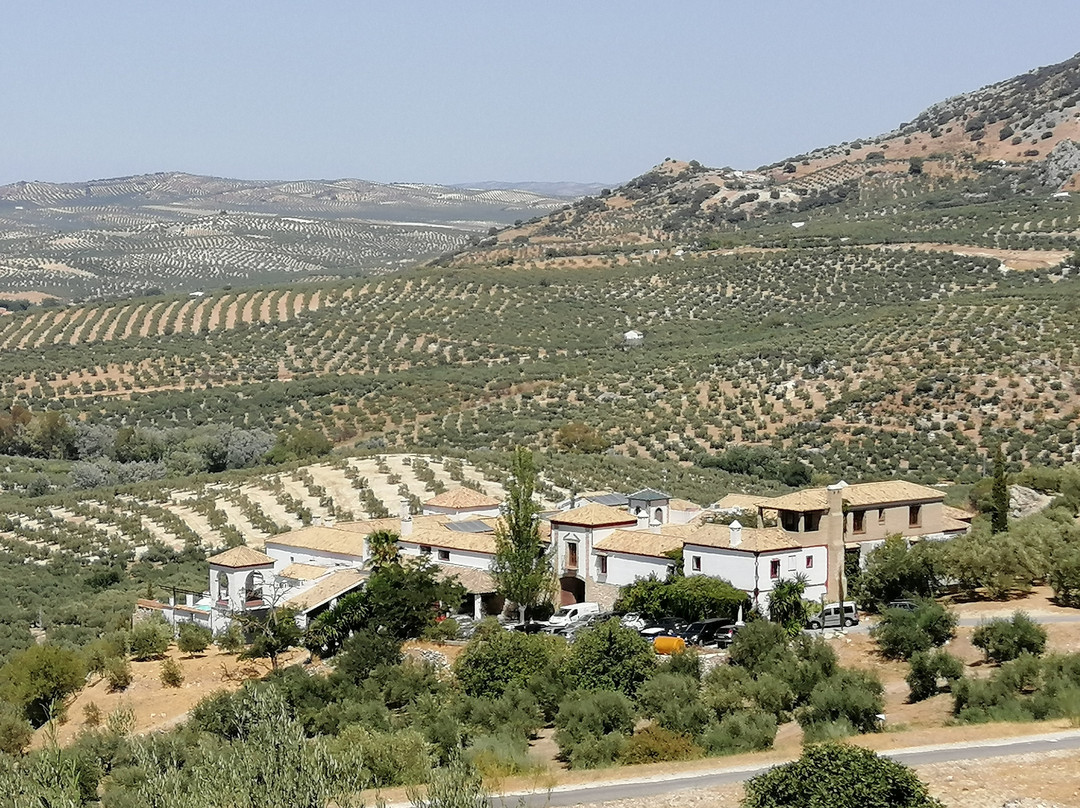 Hacienda Minerva主图