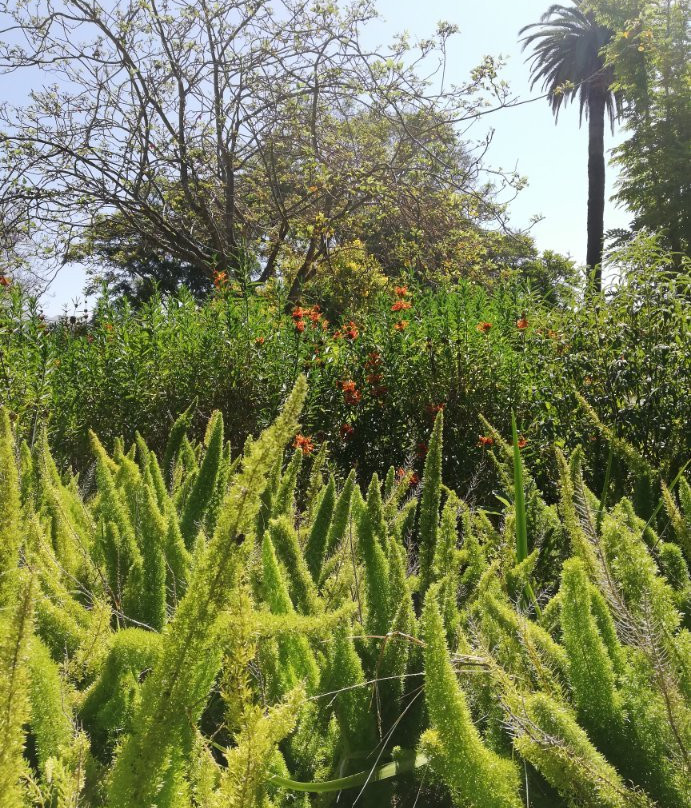 Alice Keck Park Memorial Gardens-圣巴巴拉必去景点