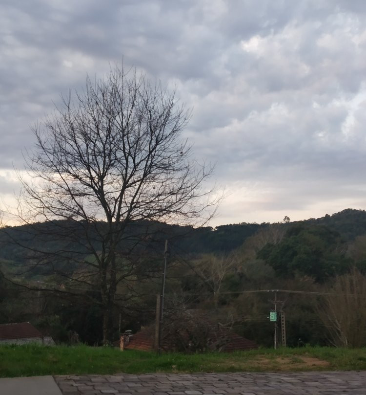 Vinicola Battistello-本图贡萨尔维斯必去景点