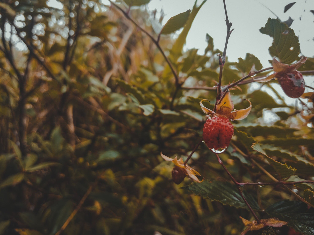 Mt Tapulao-Palauig必去景点
