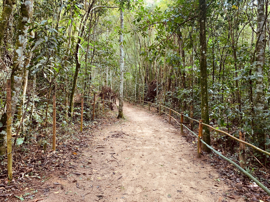 Cachoeira das Sete Quedas景点图片