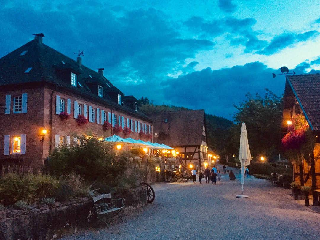 Landhotel Der Schafhof Amorbach主图