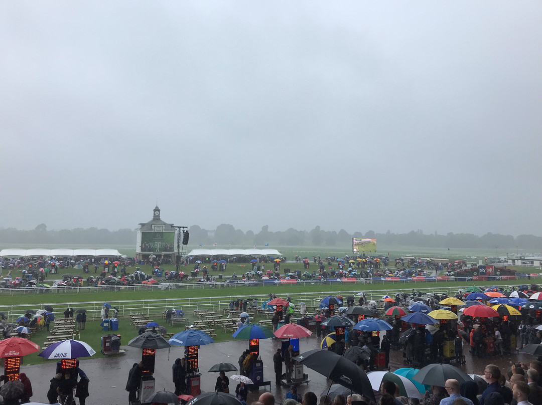 York Racecourse景点图片