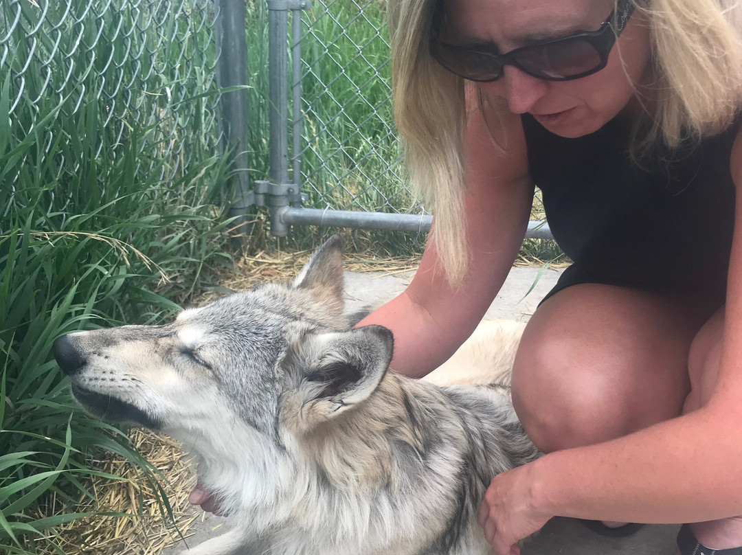 Howlers Inn Bed & Breakfast and Wolf Sanctuary主图