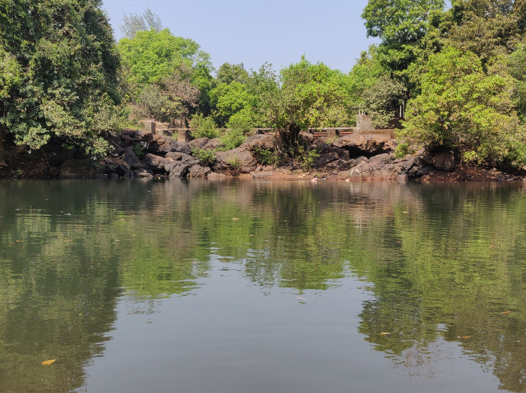 Serene Ravine Homestay主图