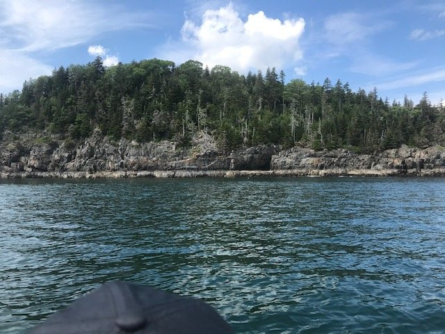 Sea Venture Boat Tours-巴港必去景点