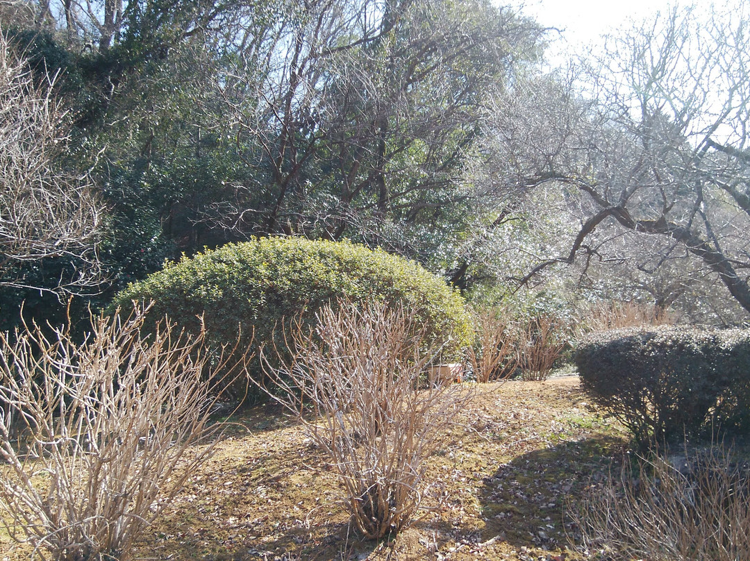 Nishiyama no Sato Togen