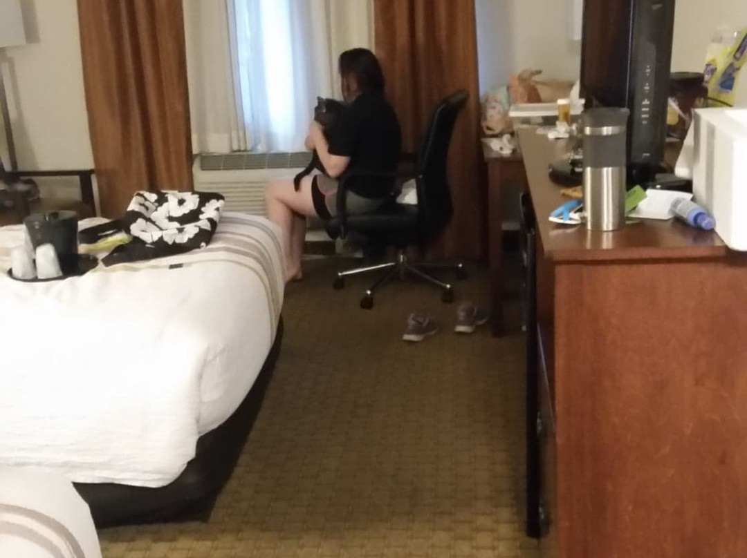 La Quinta Inn & Suites by Wyndham Grants Pass主图