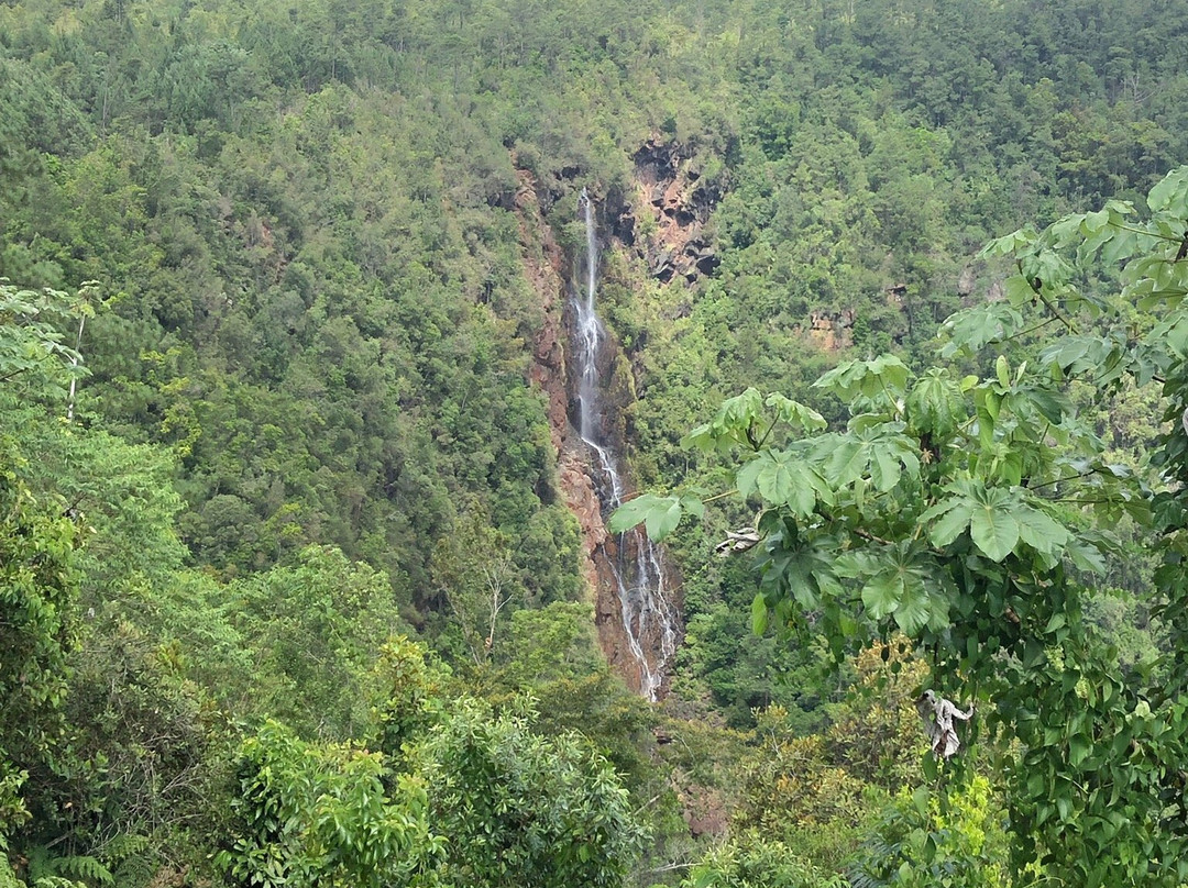 Guayabo Falls景点图片