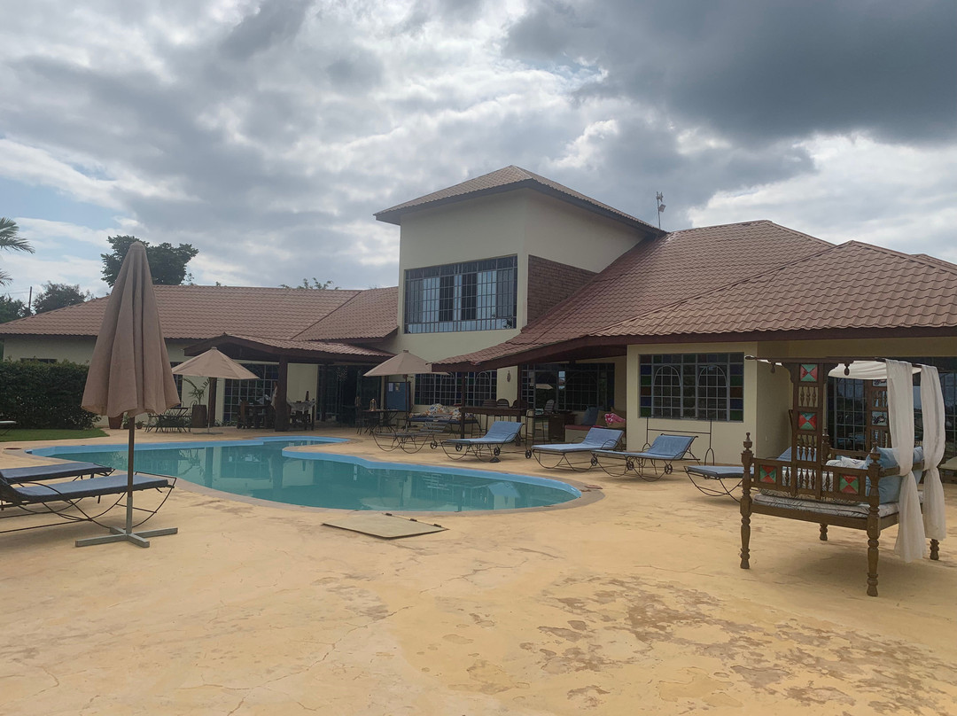 Pink Flamingo Boutique Hotel主图