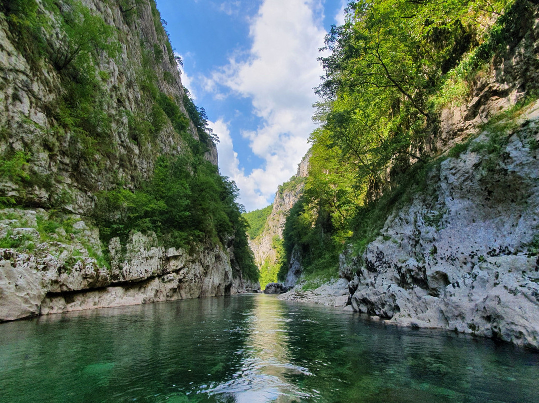 Baccata Adventures景点图片