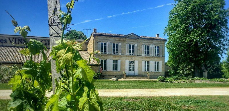 Maison des Vins de Graves景点图片