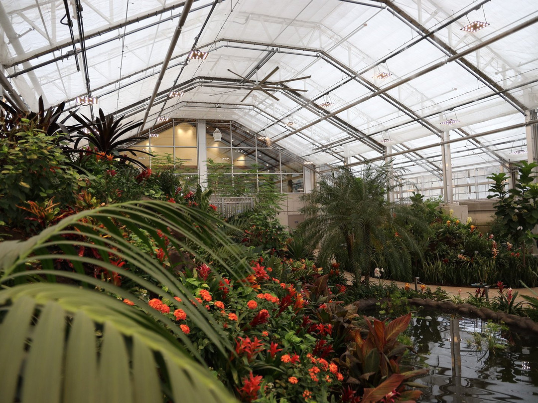 Butterfly Biosphere-李海必去景点