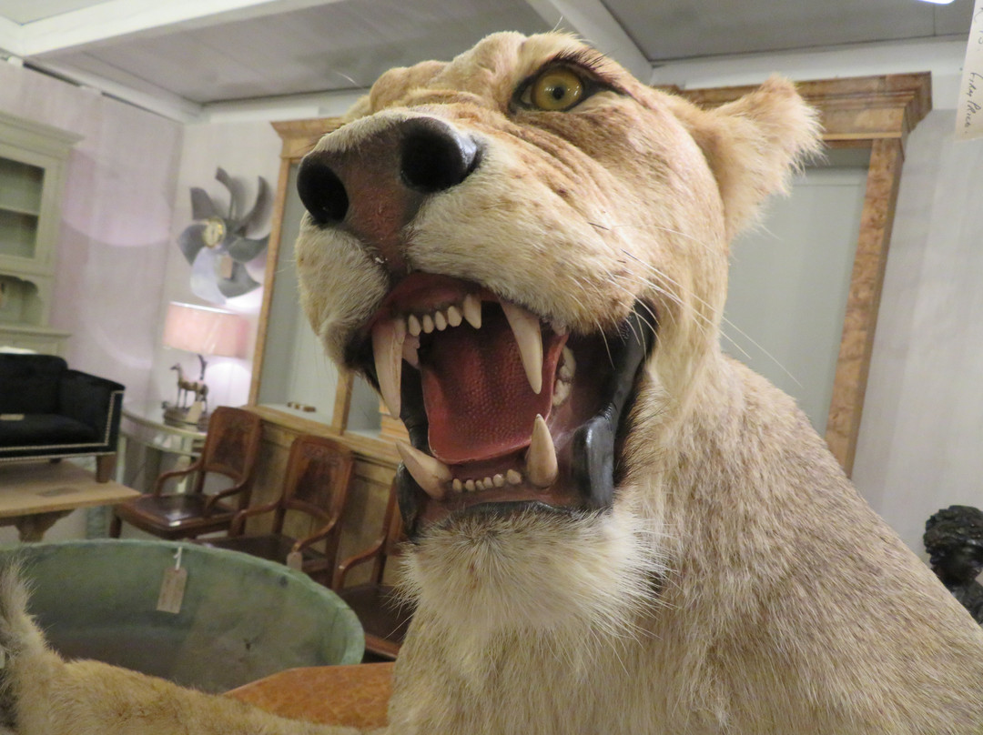 Burford Antiques Centre-伯福德必去景点