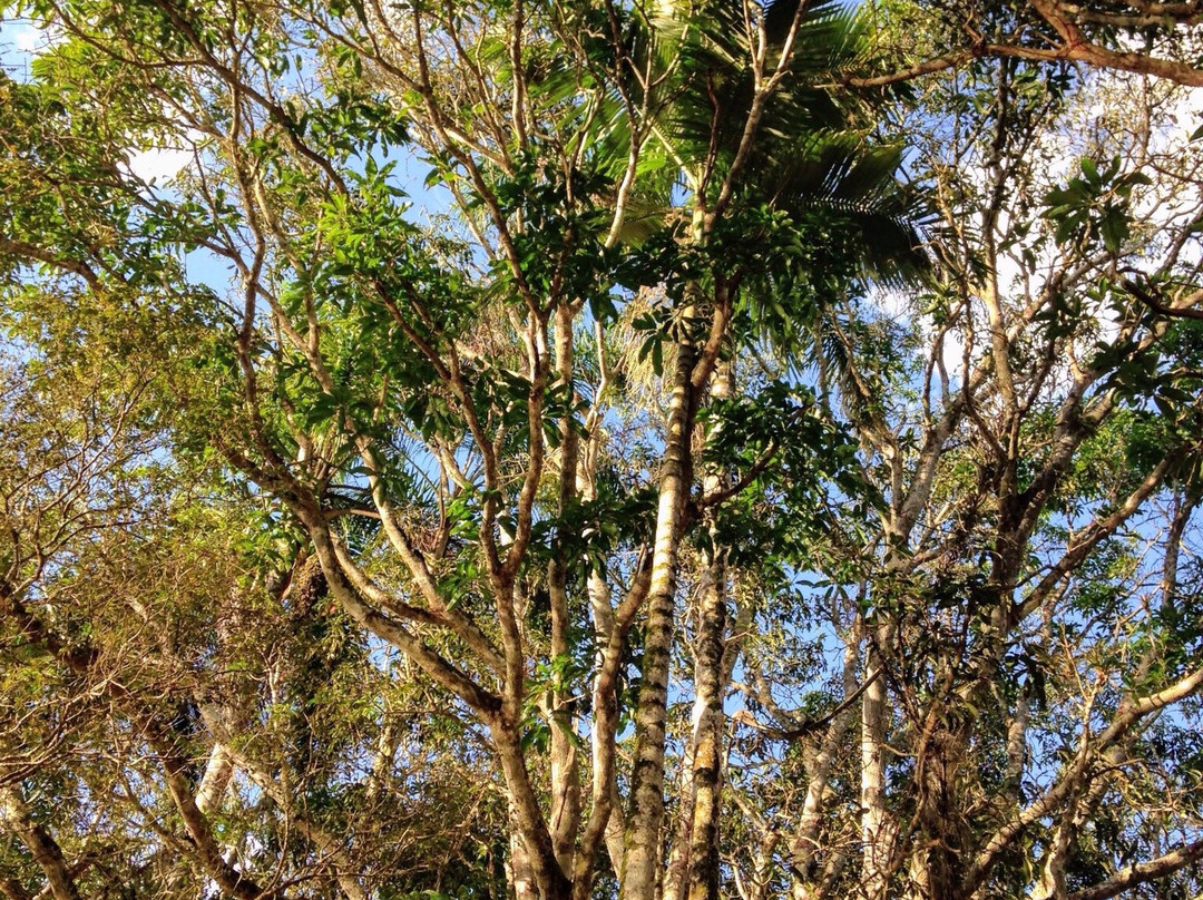 Jardim Botanico UFJF-Juiz de Fora必去景点