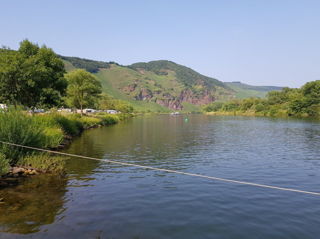 Weingut Gaestehaus Derkum主图