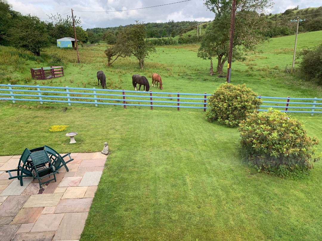 Glan Llyn Farm House主图