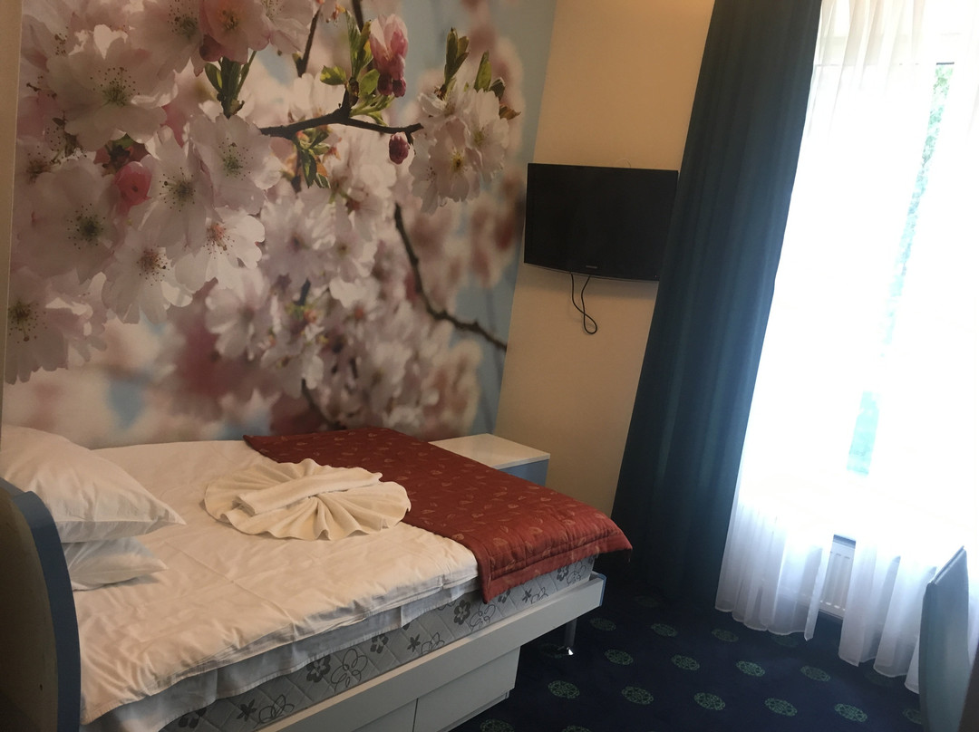 Draugyste Spa Hotel主图