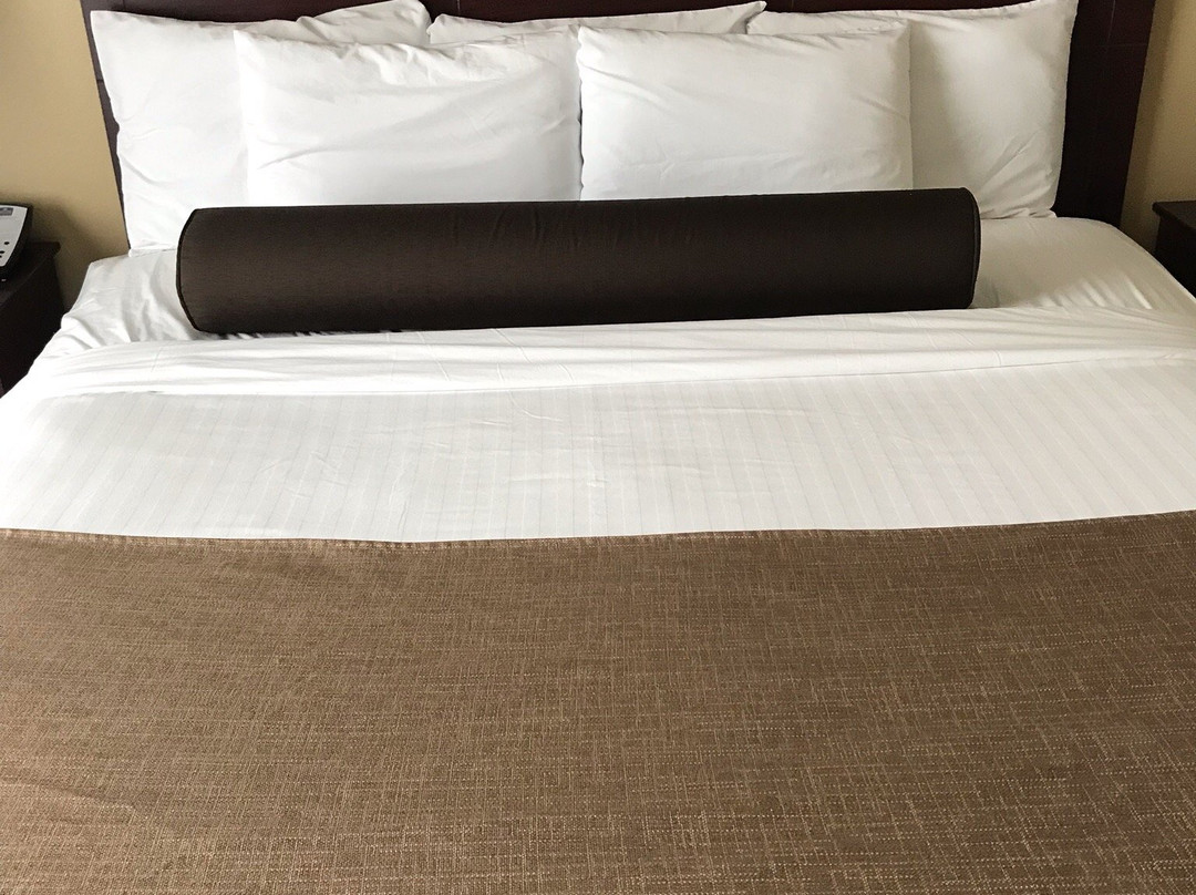 Cobblestone Hotel & Suites - Chippewa Falls主图