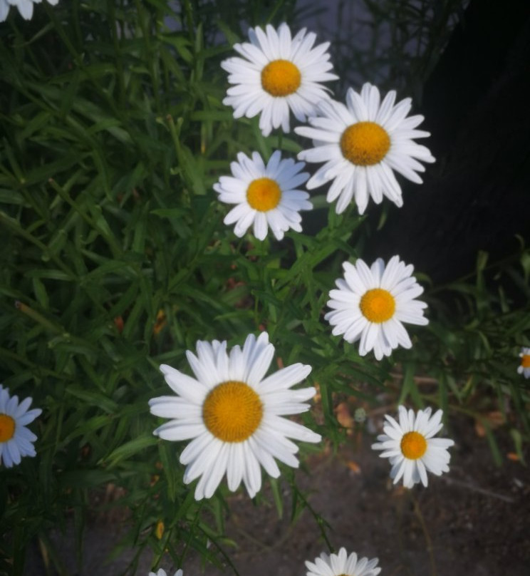 Iraragorri Hotel主图