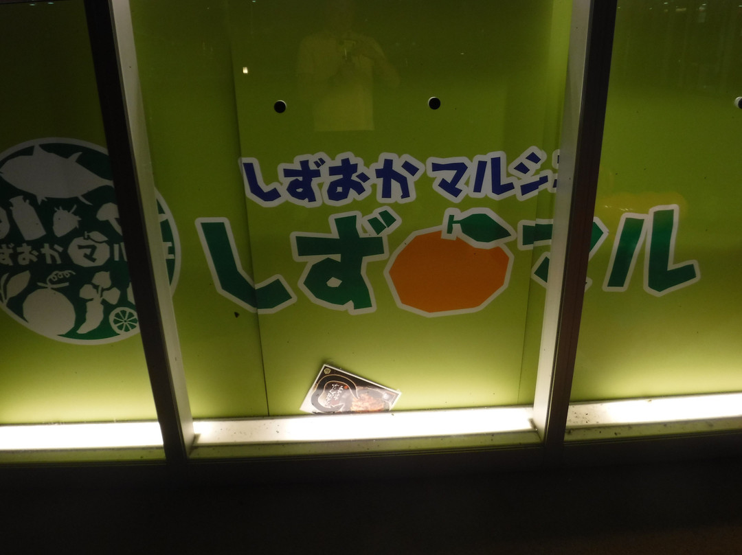 Area Concierge, Shintomei Expressway NEOPASA Shizuoka Outbound Service Area景点图片