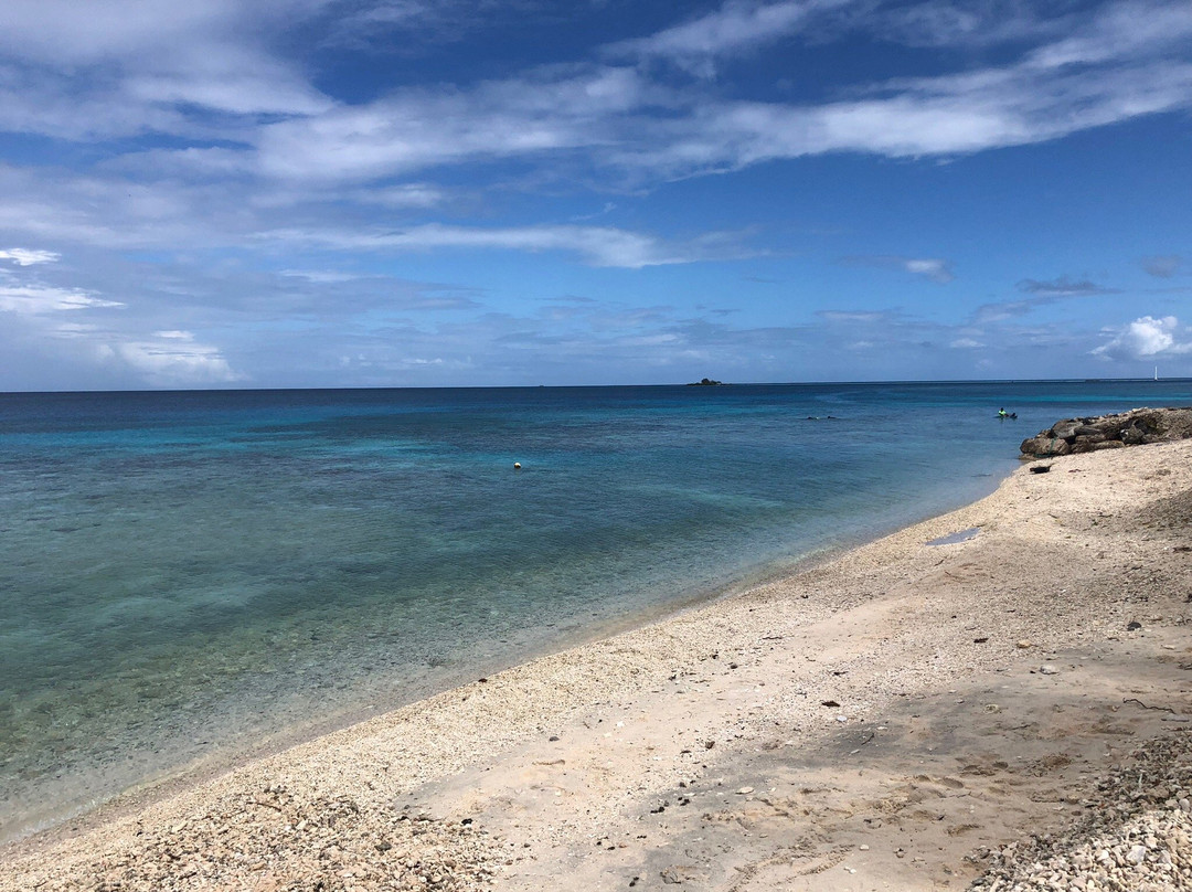 Rangiroa Diving Center景点图片