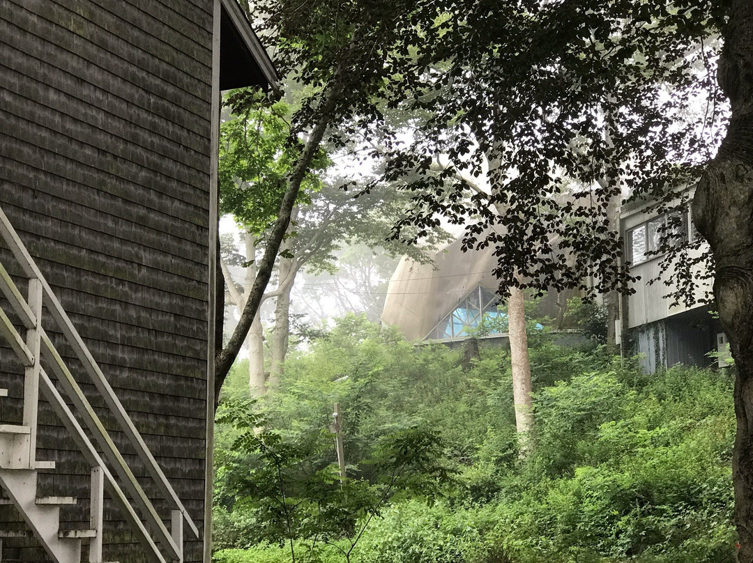 Treehouse Lodge主图