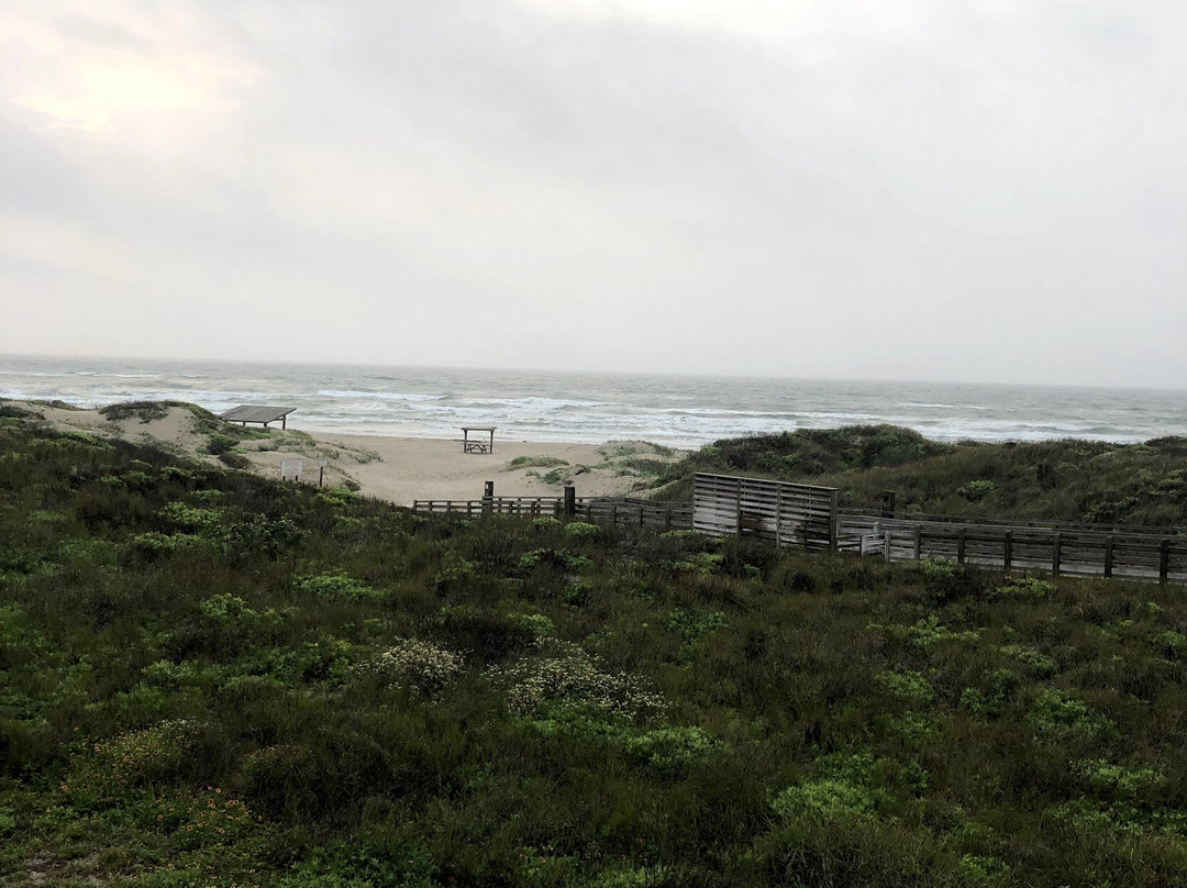 Malaquite Beach-科珀斯克里斯蒂市必去景点