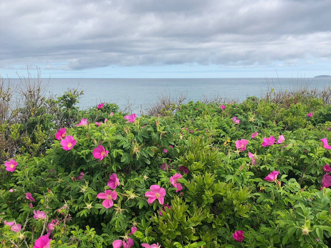 Inverness Beach Village