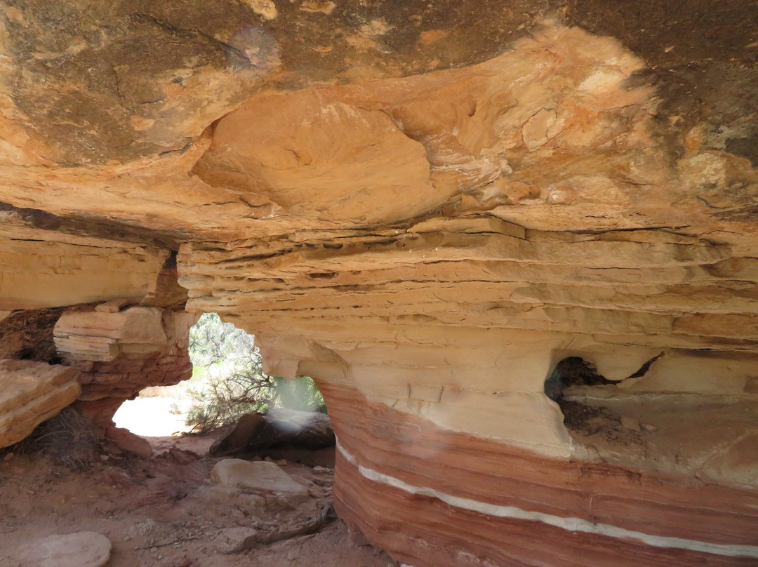 Cave Spring景点图片