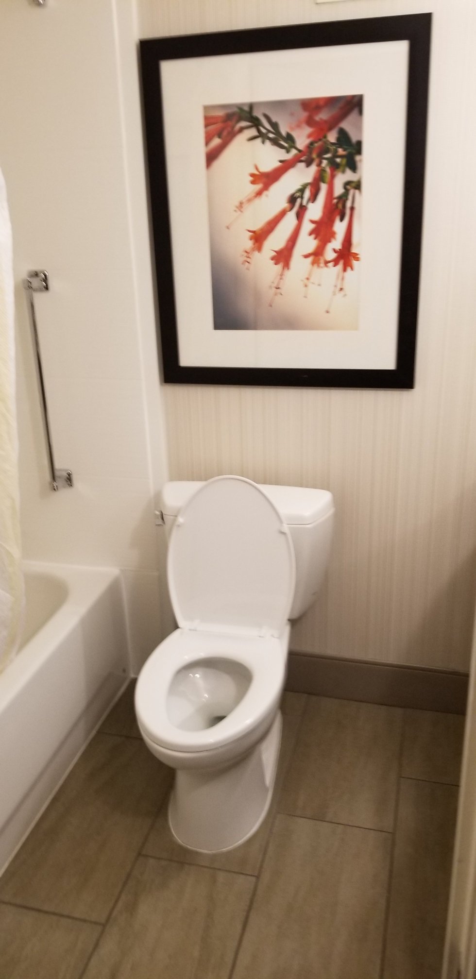 Hilton Garden Inn Atlanta Perimeter Center-浴室