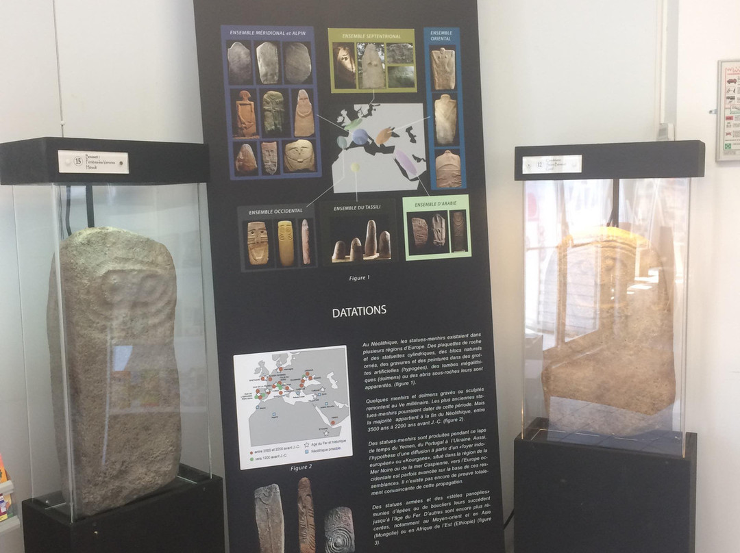 Musee Archeologique Jean Saluste景点图片