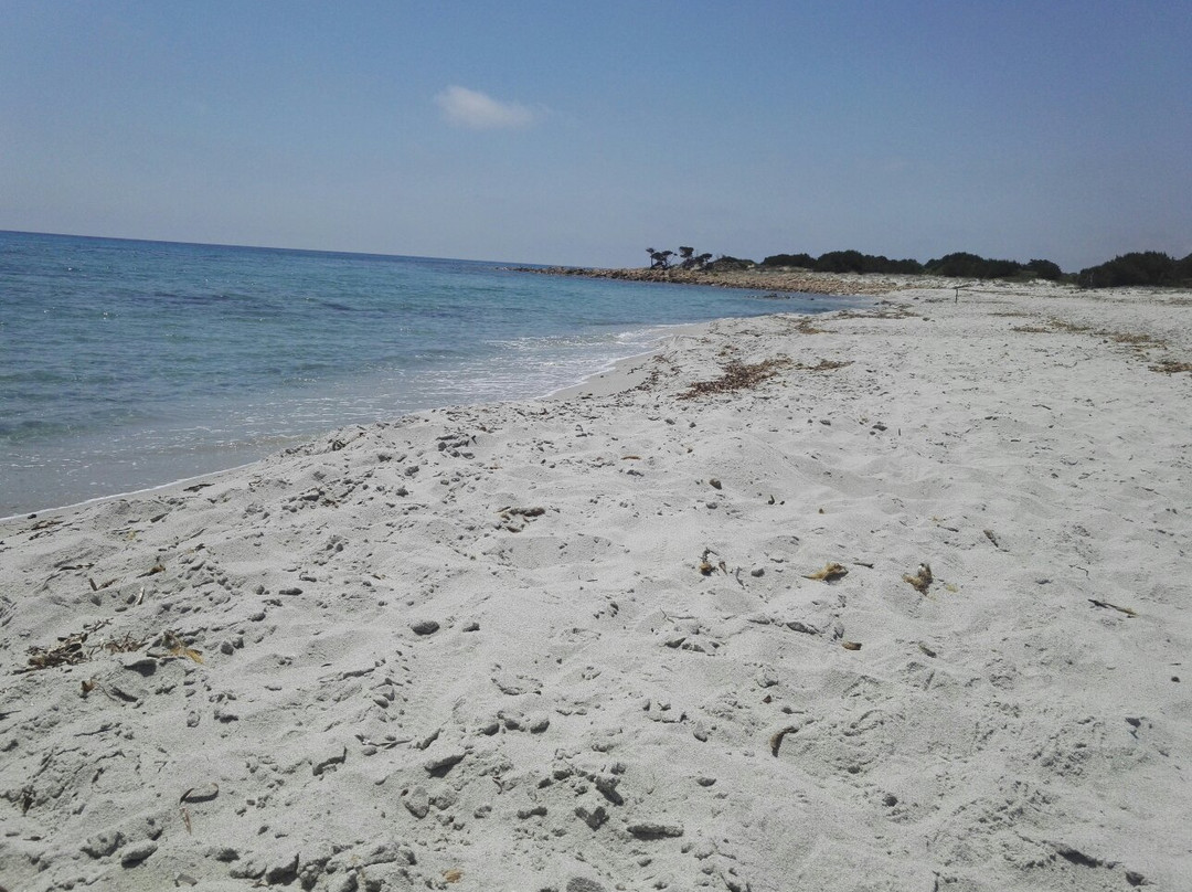 Spiaggia S'Aliterru-Capo Comino必去景点