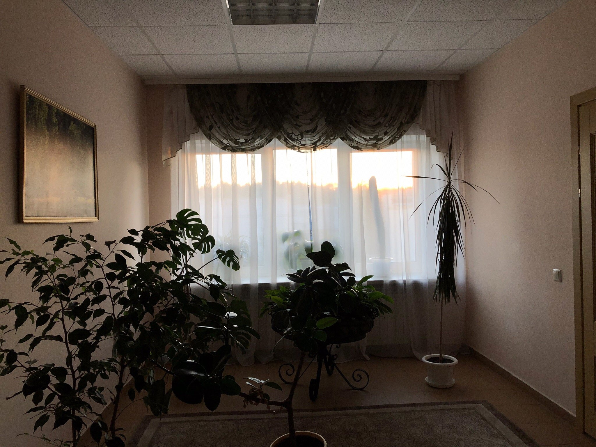 Hotel #2-官方