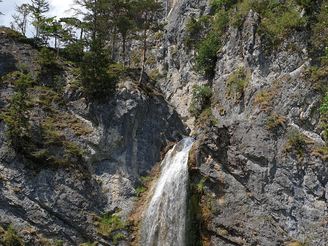 Bergbauernhof Irxner主图