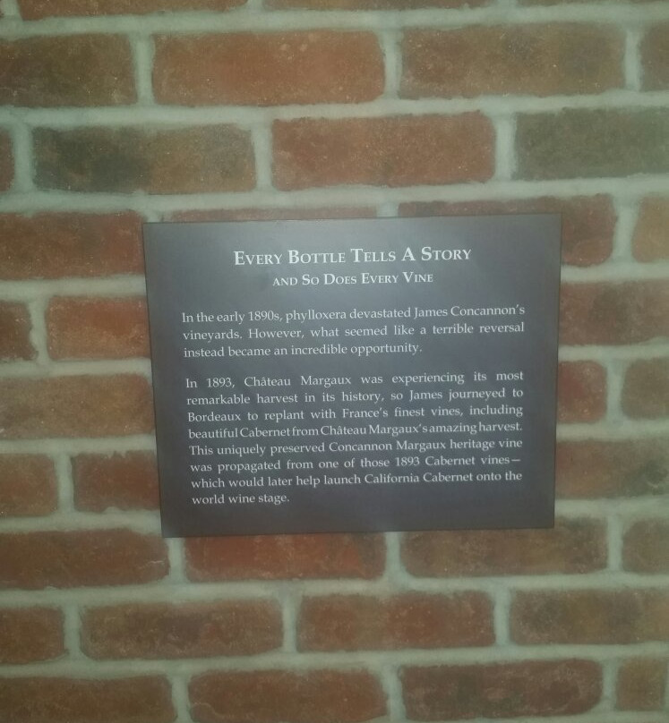 Concannon Vineyard-利佛摩必去景点