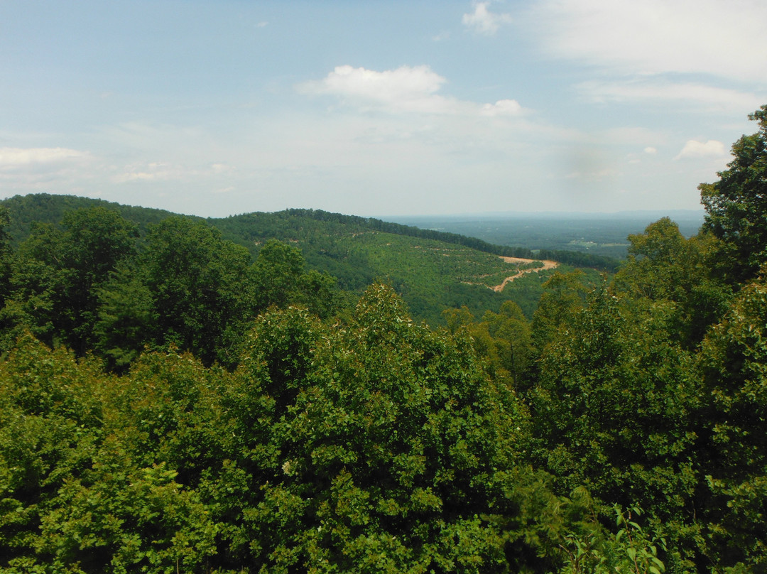 Rendezvous Mountain Educational State Forest-Purlear必去景点
