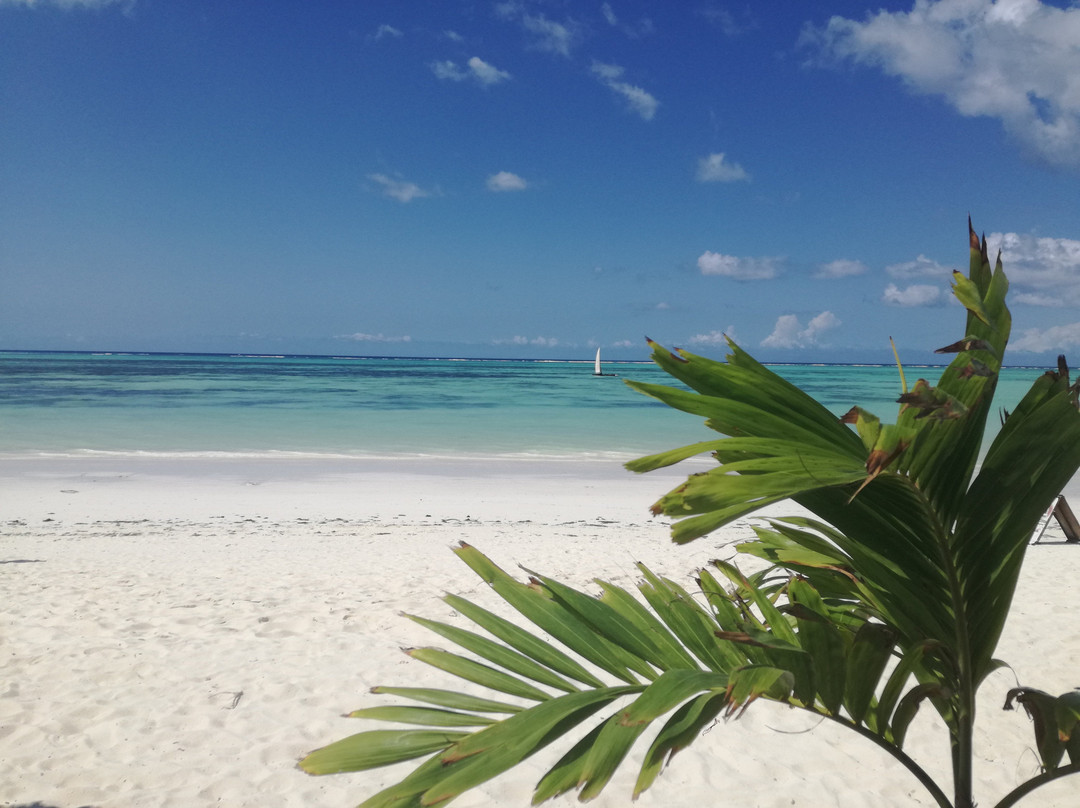 威基基桑给巴尔度假酒店主图