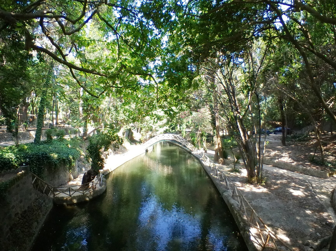 Rodini Park景点图片