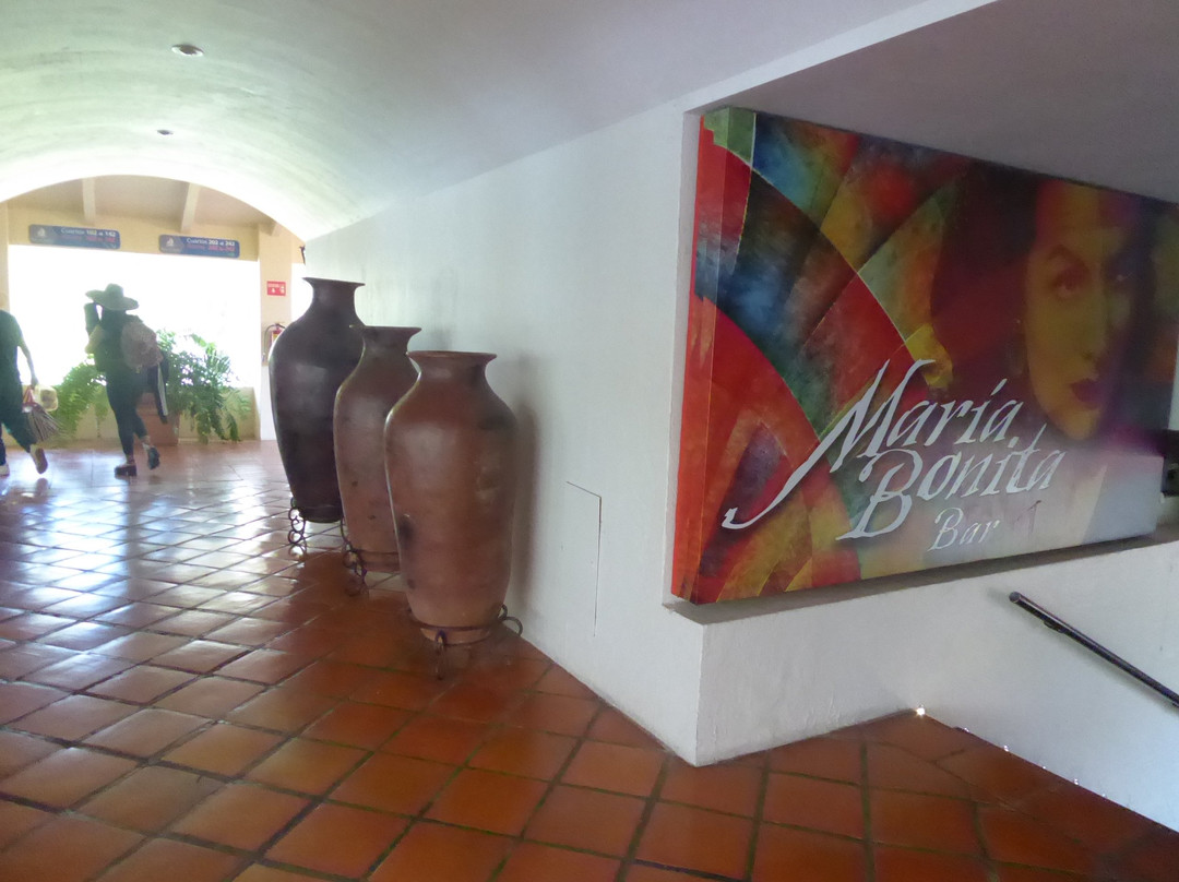 Real De Chapala主图