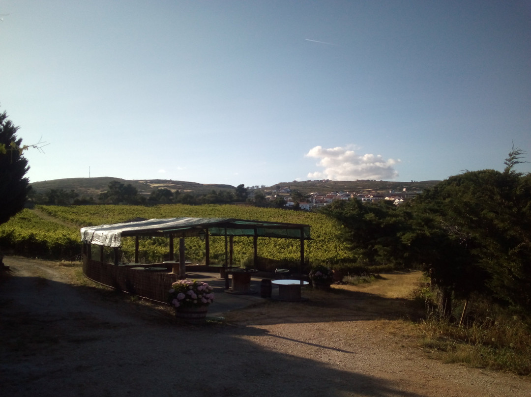 Quinta das Carrafouchas景点图片