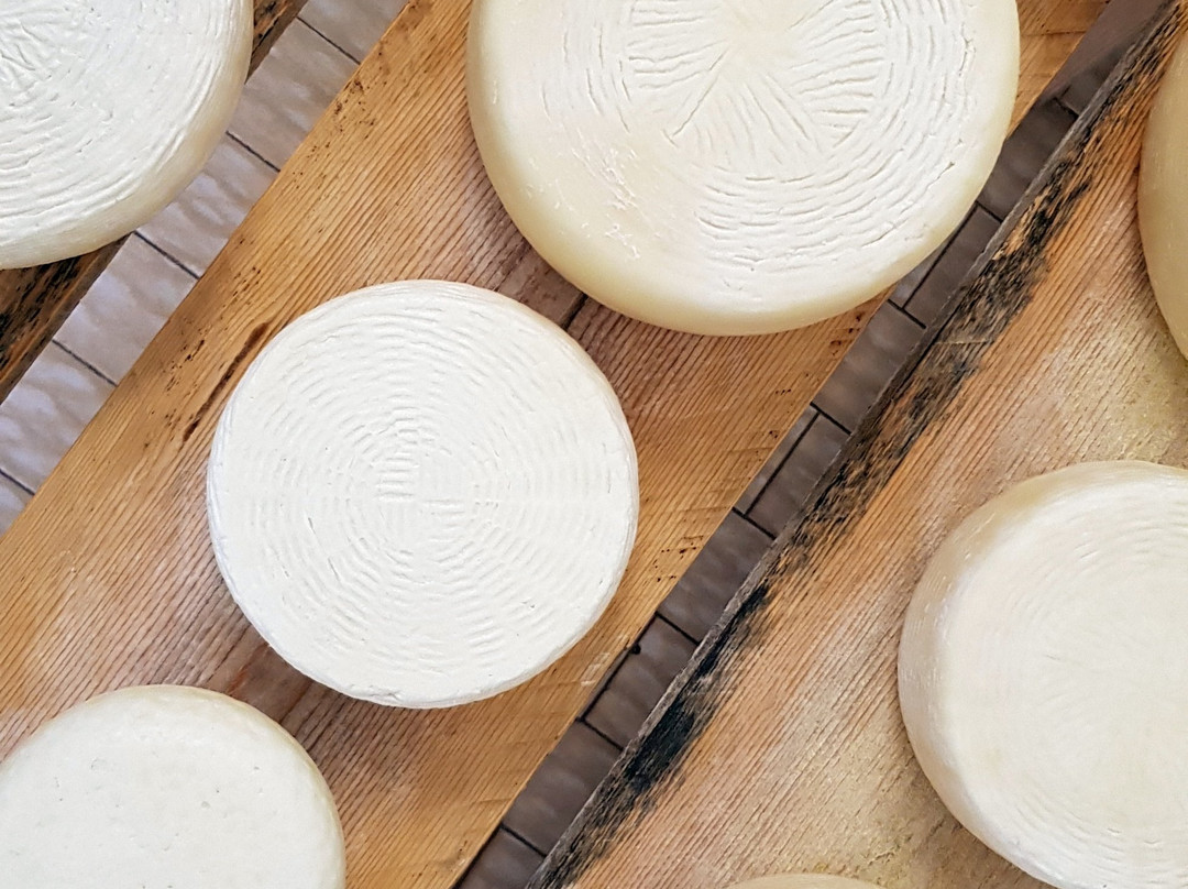 Podere Casa al Bosco-菲利内瓦尔达尔诺必去景点