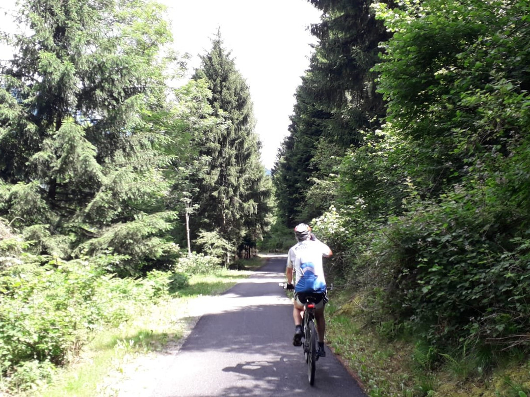 Ciclovia del Fiume Oglio景点图片