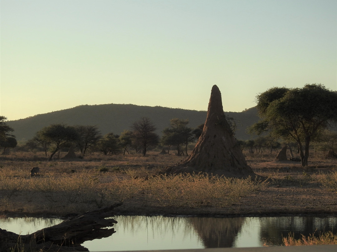 Okonjima Plains Camp主图